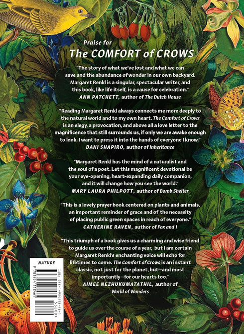 THE COMFORT OF CROWS